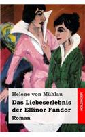 Das Liebeserlebnis der Ellinor Fandor: Roman