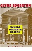 Where Trouble Sleeps: A Novel(English)