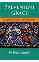 Prevenient Grace: God's Provision for Fallen Humanity