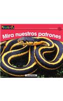 Mira Nuestros Patrones