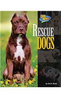 Rescue Dogs