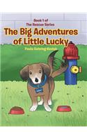 Big Adventures of Little Lucky