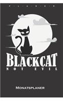 Schwarze Katzen sind nicht böse Monatsplaner: Monatsübersicht (Termine, Ziele, Notizen, Wochenplan) für Katzen- und Tierfreunde