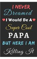 I Never Dreamed I Would Be A Super Cool Papa But Here I am Killing It