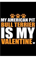 My American Pit Bull Terrier Is My Valentine