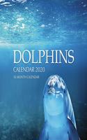 Dolphins Calendar 2020: 16 Month Calendar