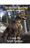 Jan 2020 - June 2021 18 Month Planner: I Love My Irish Setter