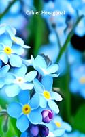 Cahier Hexagonal: 150 pages avec des hexagones pour prendre vos notes de chimie organique, biochimie (étudiants, professeurs et professionnels)