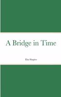 A Bridge in Time