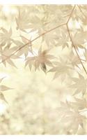 Japanese Acer - Daily Diary 2019: A Diary for Important Observances and Religious Dates and Moon Phases