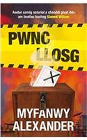 Pwnc Llosg