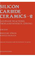 Silicon Carbide Ceramics