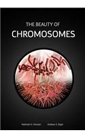 Beauty of Chromosomes