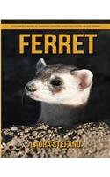 Ferret