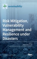 Risk Mitigation, Vulnerability Management and Resilience under Disasters