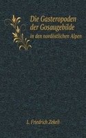 Die Gasteropoden der Gosaugebilde