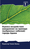 Оценка воздействия наводнения на примере