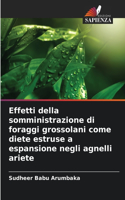 Effetti della somministrazione di foraggi grossolani come diete estruse a espansione negli agnelli ariete