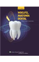 Woelfel. Anatomia Dental