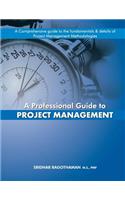 A Professional Guide to Project Management: (English)