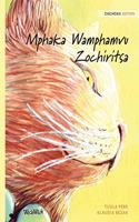 Mphaka Wamphamvu Zochiritsa: Chicheva Edition of The Healer Cat