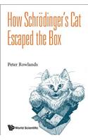 How Schrodinger's Cat Escaped the Box