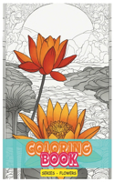 Coloring Book