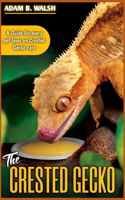 CRESTED GECKO