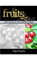 Fruits Grayscale Coloring Book