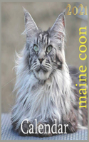 maine coon 2021: 2021 Wall & Office Calendar, 12 Month Calendar