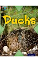 Project X Origins: Pink Book Band, Oxford Level 1+: My Family: Ducks