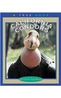 California Condors