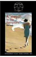 Seagull in the Hamptons