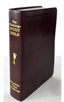 CEV Challenge Study Bible, The