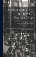 Apuntes De Viaje Del R. P. Fr. Gabriel Sala: Exploración De Los Rios Pichis, Pachitea Y Alto Ucayali Y De La Región Del Gran Pajonal