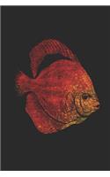 Red Fish: Fishes Notebook, Graph Paper (6 x 9 - 120 pages) Animal Themed Notebook for Daily Journal, Diary, and Gift