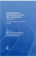 The New Immigrant in American Society