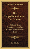 Urogenitalmuskulatur Des Dammes