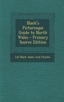 Black's Picturesque Guide to North Wales - Primary Source Edition