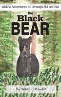 The Black Bear