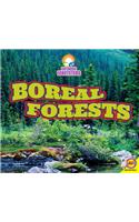 Boreal Forests