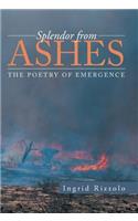 Splendor from Ashes: The Poetry of Emergence