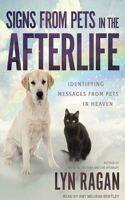 Signs from Pets in the Afterlife