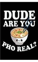 Dude Are You Pho Real?: Noodle Notebook Journal