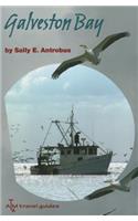 Galveston Bay
