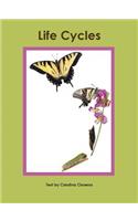 Life Cycles
