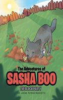 The Adventures of Sasha Boo: The Block Party