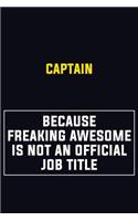 Captain Because Freaking Awesome Is Not An Official Job Title