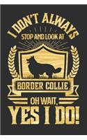 I Don't Always Stop and Look At Border Collie OH Wait, Yes I Do!: Personal Planner 24 month 100 page 6 x 9 Dated Calendar Notebook For 2020-2021 Academic Year. Perfect dog lover gift idea for any dog owner