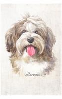 Havanese Dog Portrait Notebook